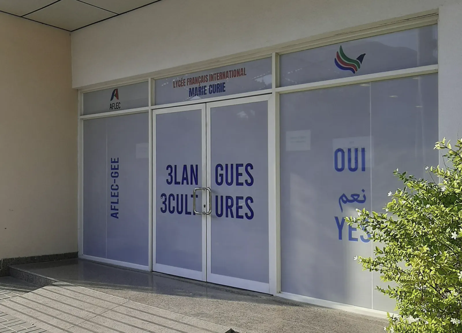 frosted sticker for glass